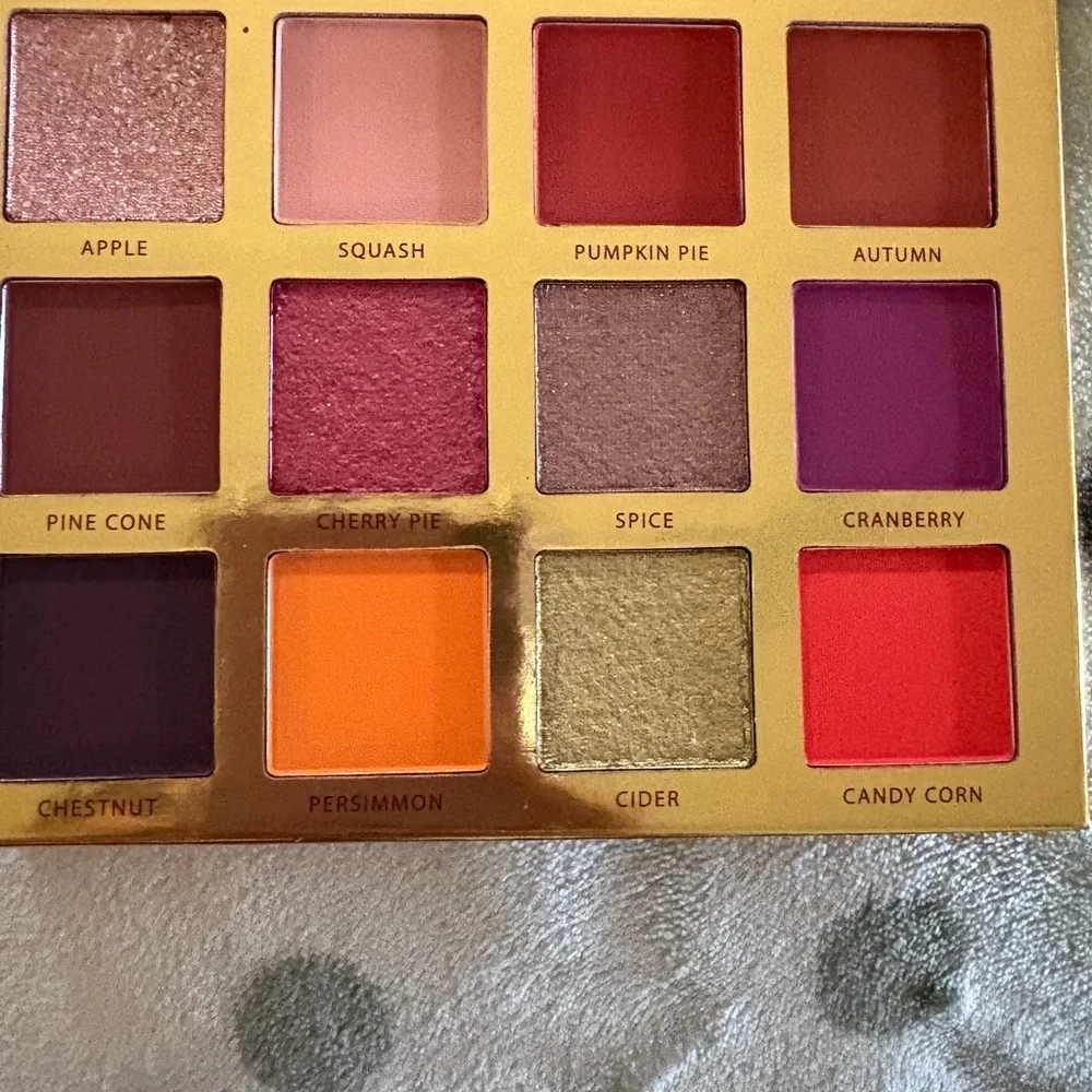 Ace Beaute Autumn Spice Eyeshadow Palette - Picture 2 of 2